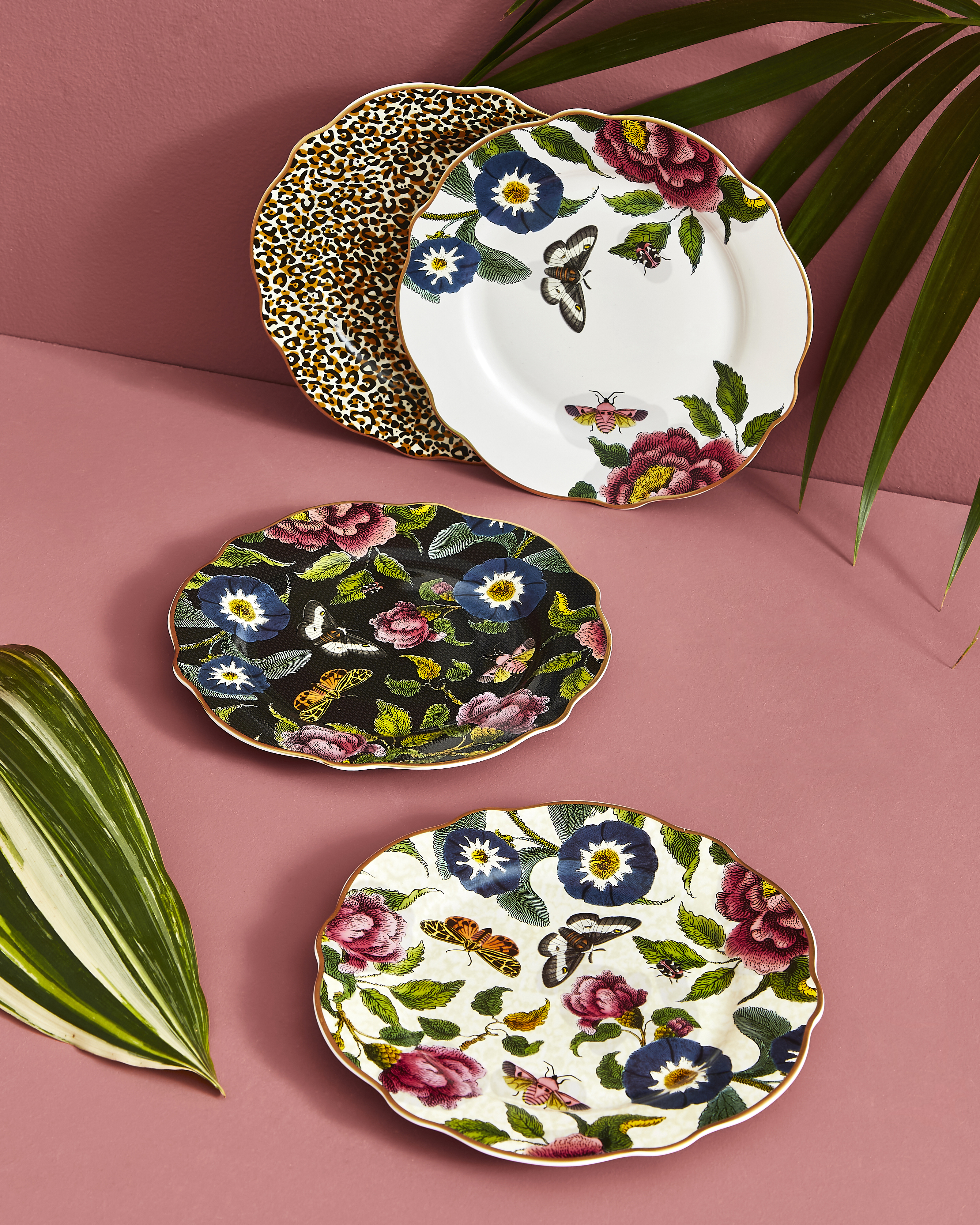 Creatures of Curiosity Dessert Plates Set of 4 (Assorted) image number null